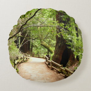 Muir Woods Path II Natuurfotografie Rond Kussen