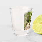 Muir Woods Path II Natuurfotografie Shot Glas (Links)