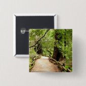 Muir Woods Path II Natuurfotografie Vierkante Button 5,1 Cm (Voorkant /achterkant)