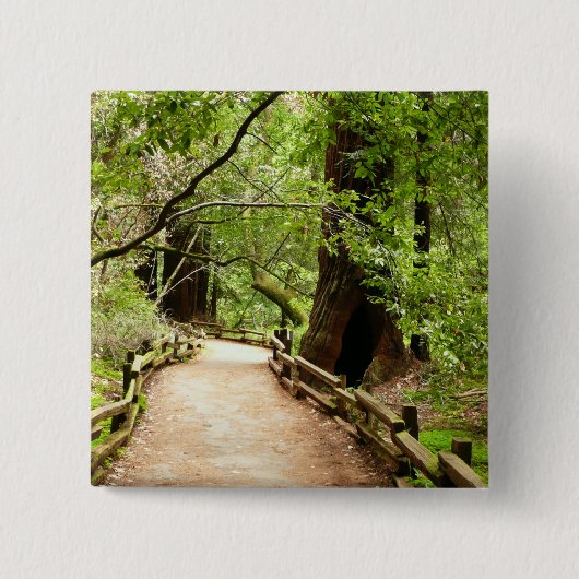 Muir Woods Path II Natuurfotografie Vierkante Button 5,1 Cm (Voorkant)