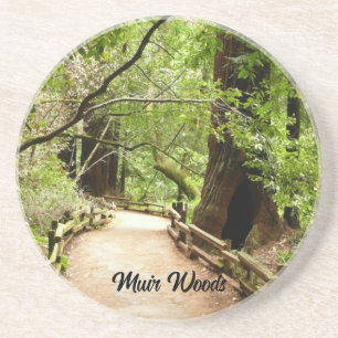 Muir Woods Path II Natuurfotografie Zandsteen Onderzetter