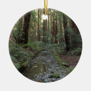 Muir Woods Stroom Bos Landschap Keramisch Ornament