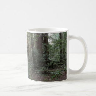 Muir Woods Stroom Bos Landschap Koffiemok