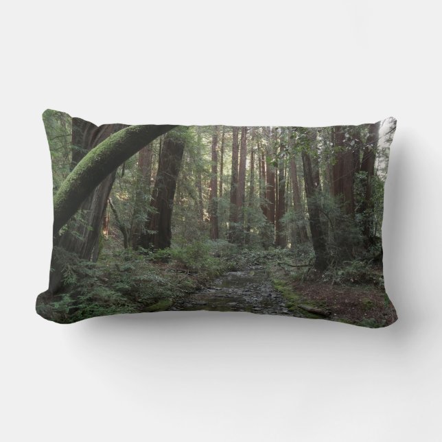Muir Woods Stroom Bos Landschap Kussen (Voorkant)