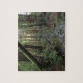 Muir Woods Stroom Bos Landschap Legpuzzel (Verticaal)