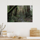 Muir Woods Stroom Bos Landschap Poster (Keuken)