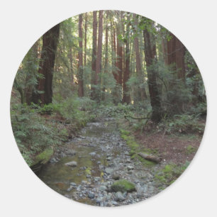 Muir Woods Stroom Bos Landschap Ronde Sticker