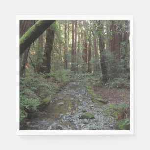 Muir Woods Stroom Bos Landschap Servet