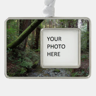 Muir Woods Stroom Bos Landschap Verzilverd Omlijst Ornament
