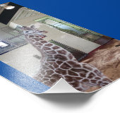 Muis 4x6 afdrukken #1 foto afdruk (Hoek)