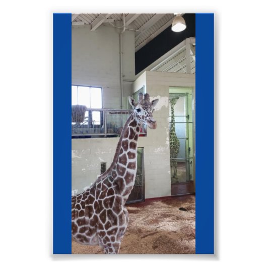 Muis 4x6 afdrukken #1 foto afdruk (Voorkant)