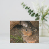 muis briefkaart (Staand voorkant)