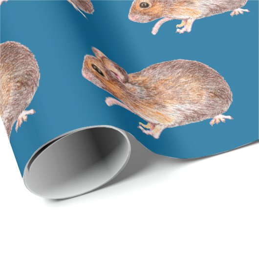 Muis Cadeaupapier (Rol Hoek)