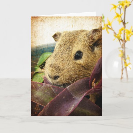 Muis de Guinese varken Kaart (Gele Bloem)