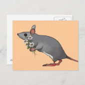 Muis die bloemen, Daisies: Kunst Briefkaart (Voorkant / Achterkant)
