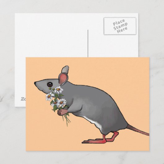 Muis die bloemen, Daisies: Kunst Briefkaart (Voorkant / Achterkant)
