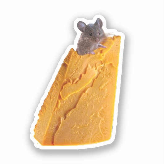MUIS EN KAAS OP STICKER (Voorkant)