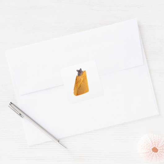 MUIS EN KAAS OP STICKER (Envelop)