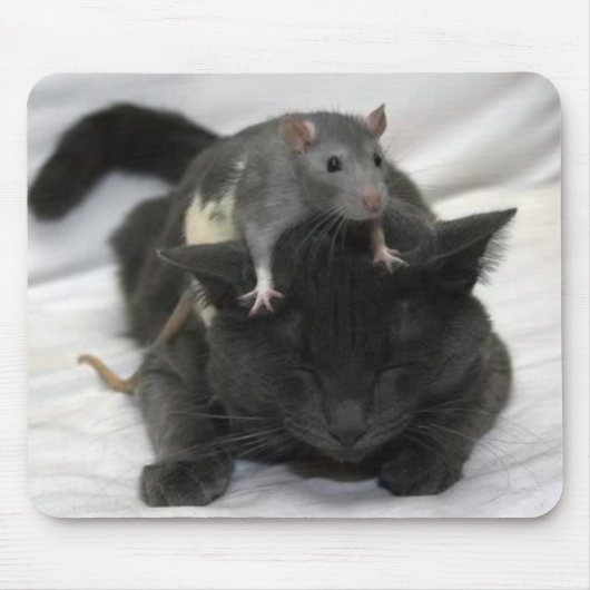 Muis- en kattenmuismatje muismat (Voorkant)