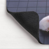 Muis en val muismat (Hoek)