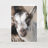 Muis het AlpenKind Kaart (Voorkant)