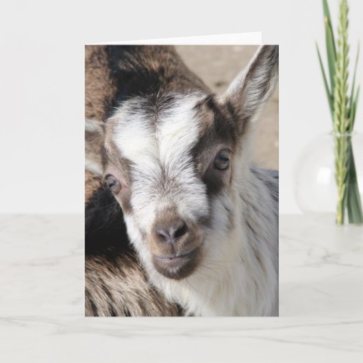 Muis het AlpenKind Kaart (Voorkant)