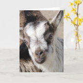 Muis het AlpenKind Kaart (Gele Bloem)