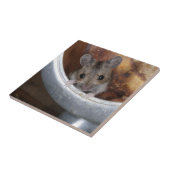 Muis in een theepot tegeltje (Zijkant)
