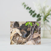 Muis in huis briefkaart (Staand voorkant)