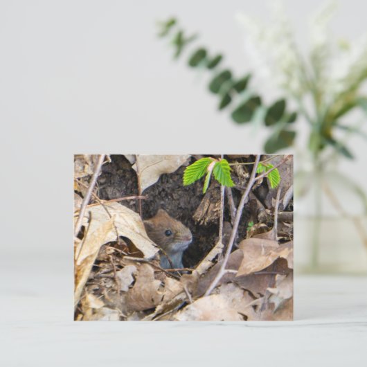 Muis in huis briefkaart (Staand voorkant)