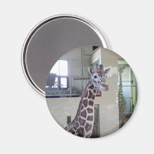 Muis Magnet #2 (Voorkant / Achterkant)