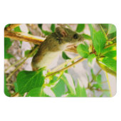 Muis Magnet Magneet (Horizontaal)