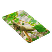 Muis Magnet Magneet (Rechterzijde)