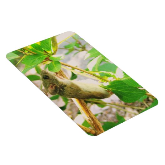 Muis Magnet Magneet (Rechterzijde)