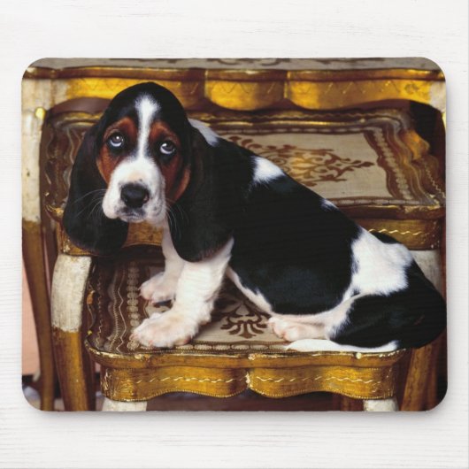 muis met basset-shound muismat (Voorkant)