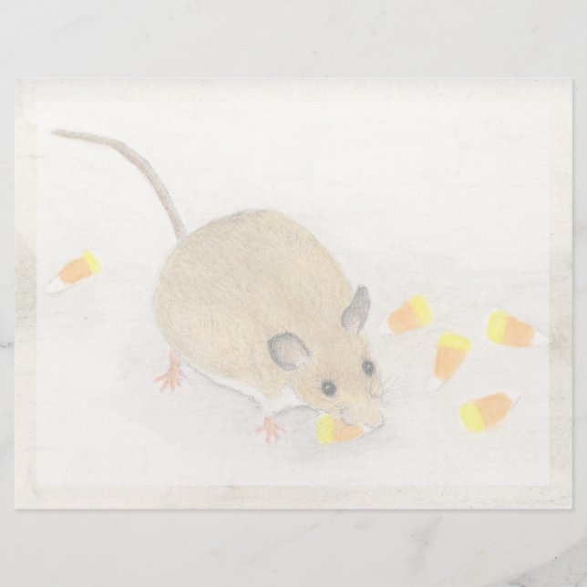Muis met snoepkernen (Voorkant)
