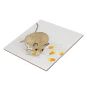 Muis met snoepkernen tegeltje (Zijkant)