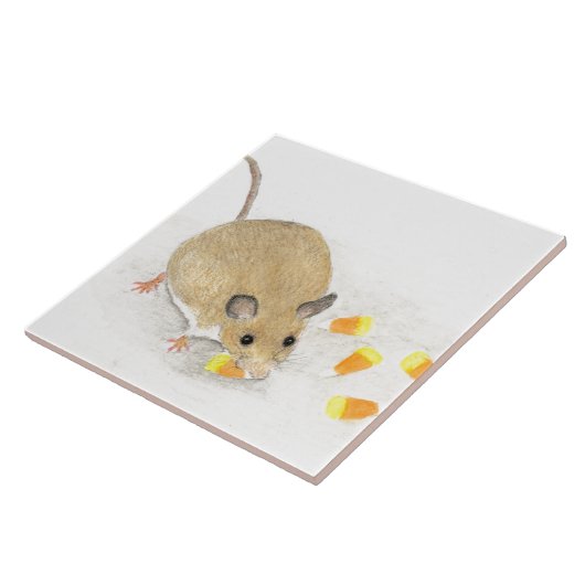 Muis met snoepkernen tegeltje (Zijkant)