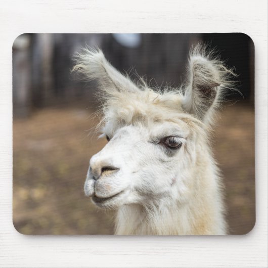 Muis Onderlegger met Cute White Llama Muismat (Voorkant)