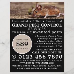 Muis, Ongediertebestrijding Reclame Flyer