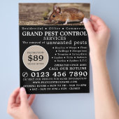 Muis, Ongediertebestrijding Reclame Flyer (Hand)