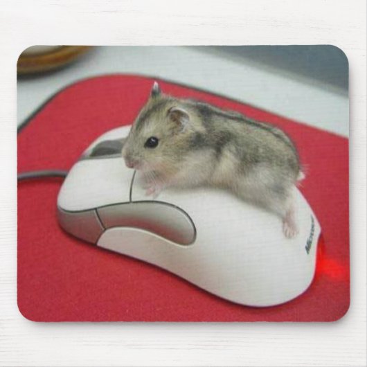 Muis op een muismousepad muismat (Voorkant)