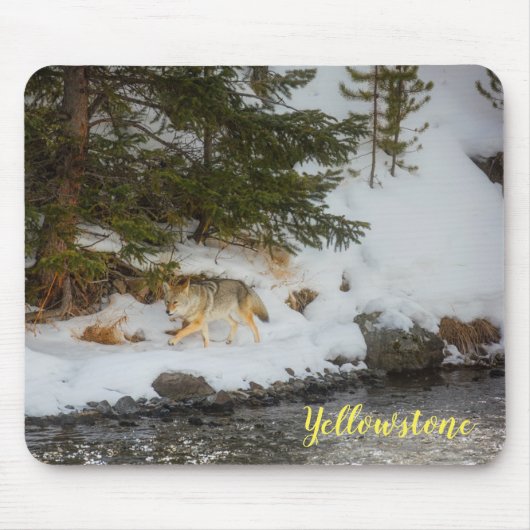 Muis Pad-Yellowstone Coyote Muismat (Voorkant)