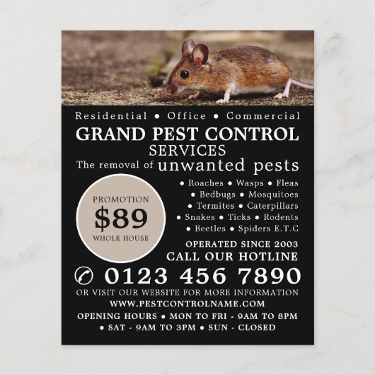 Muis, plaagbesturing Adverteren Flyer (Voorkant)