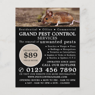 Muis, plaagbesturing Adverteren Flyer