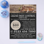 Muis, plaagbesturing Adverteren Flyer (Enkel)