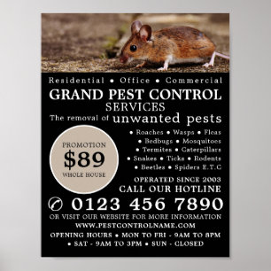 Muis, plaagbesturing Adverteren Poster