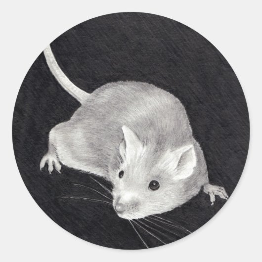 MUIS: POTLOOD REALISME KUNST RONDE STICKER (Voorkant)