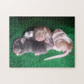 Muis Puzzle:  4 Baby Muizen Legpuzzel (Horizontaal)