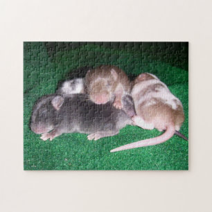 Muis Puzzle:  4 Baby Muizen Legpuzzel